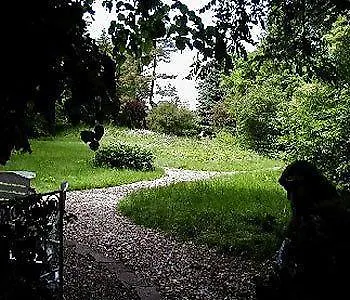 Fachwerkhauser Leinegarten Apartmanhotel Gronau