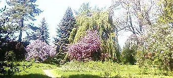 Fachwerkhauser Leinegarten 2* Gronau